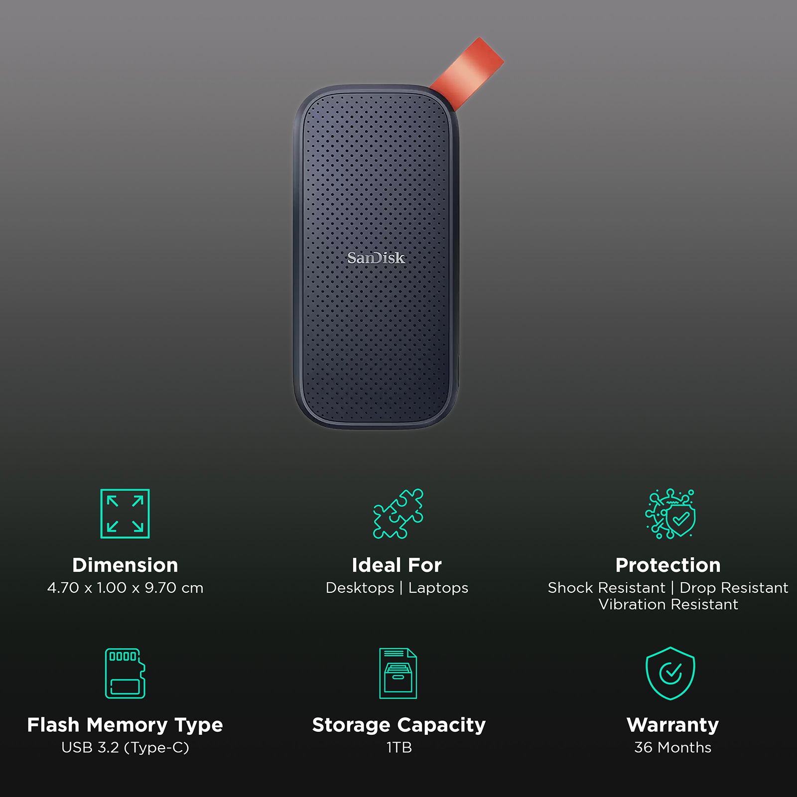 SanDisk ポータブルSSD E30 1TB SanDisk E30 / Window,Mac OS,Android / Portable,Type C Enabled / 3